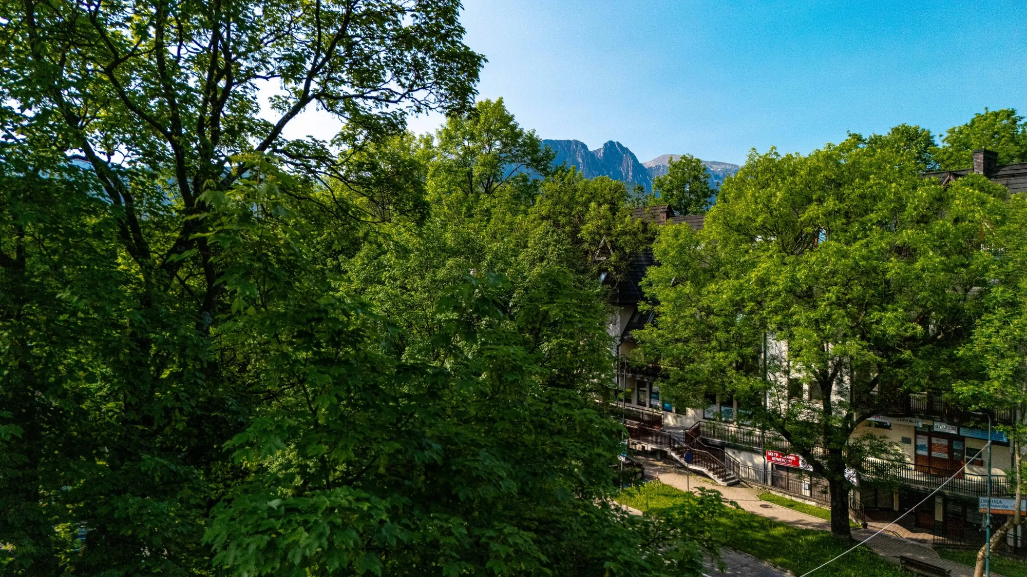 Giewont i Czerwone Wierchy nad drzewami przy apartamencie